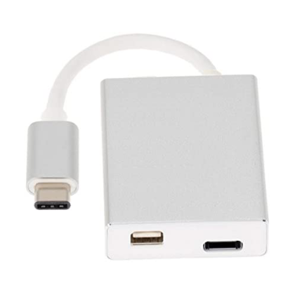 TIPO C MINI DISPLAYPORT TIPO C HEMBRA